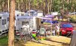 Campingplatz Pommernland - Im Wald